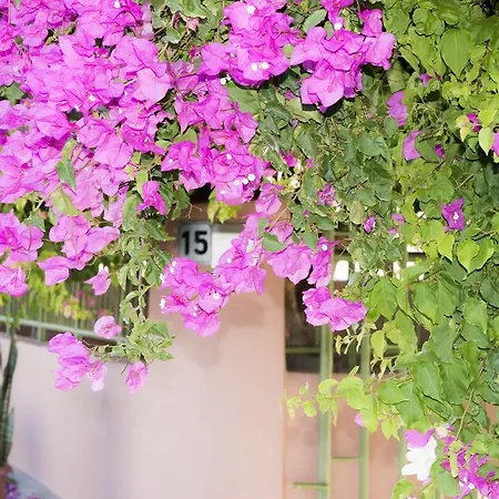 Carpe Diem إياليسوس