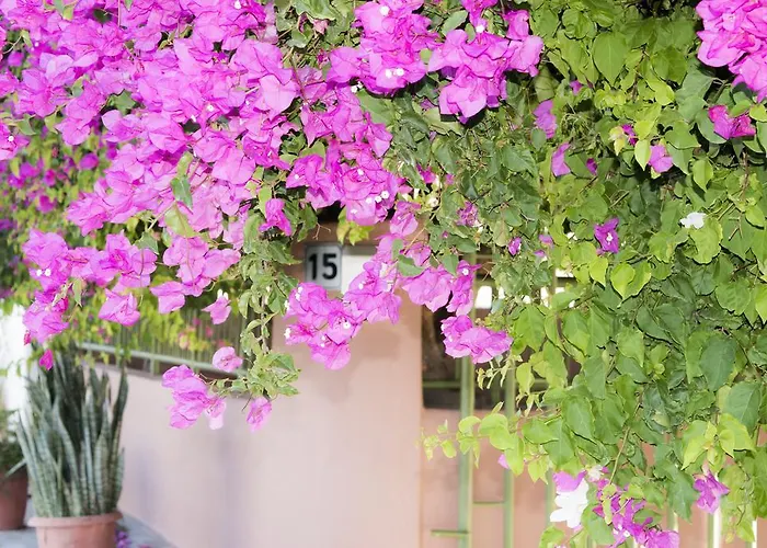 Carpe Diem Studios Ialysos (Rhodes)