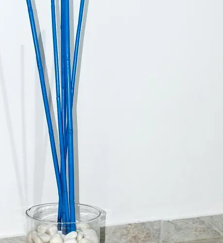 Carpe Diem יאליסוס